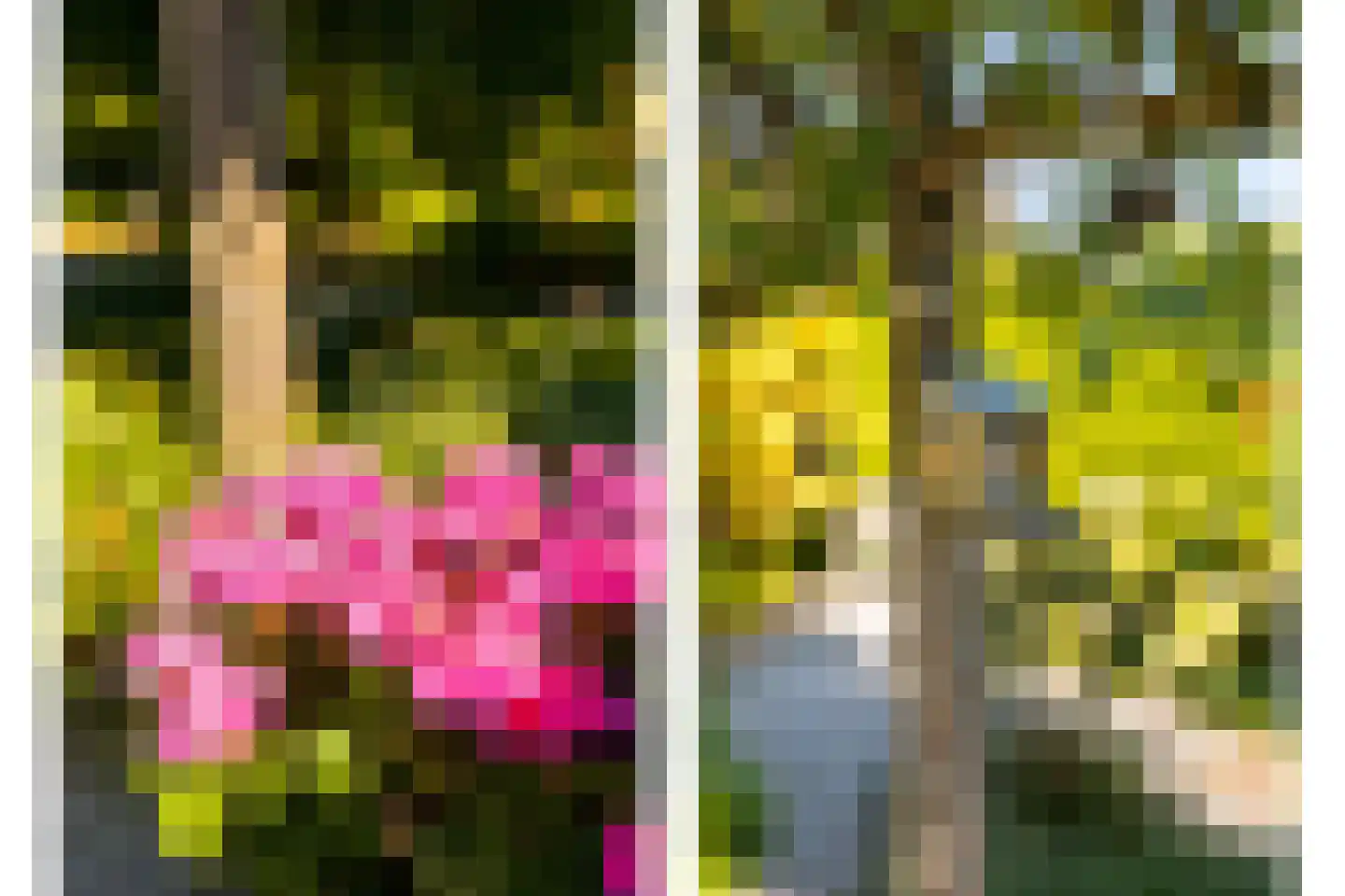 Hopveld 5 Veghel thumbnail 51