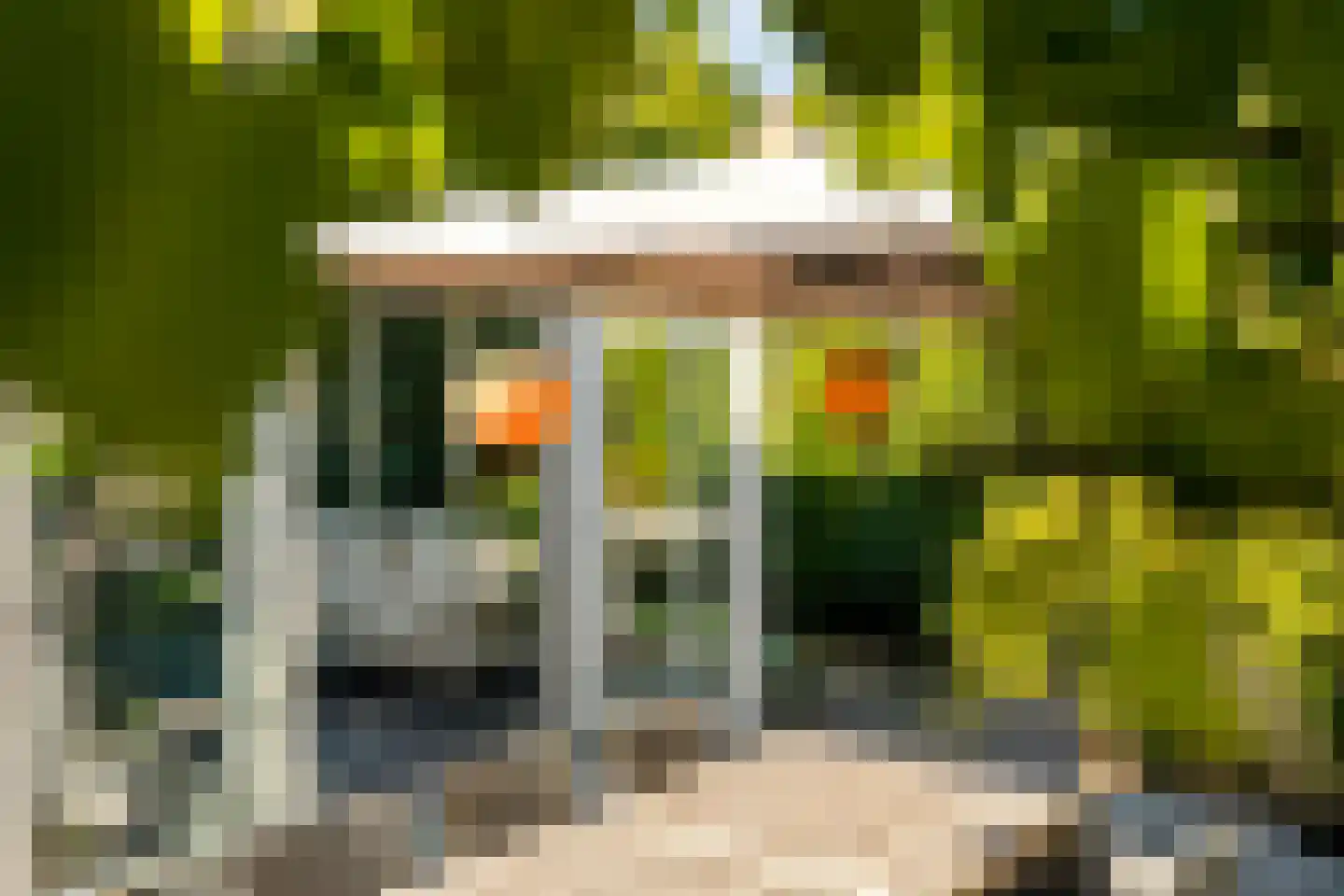 Hopveld 5 Veghel thumbnail 52