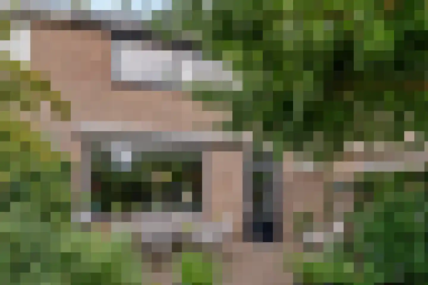 Hopvlinder 2 Leiden thumbnail 21