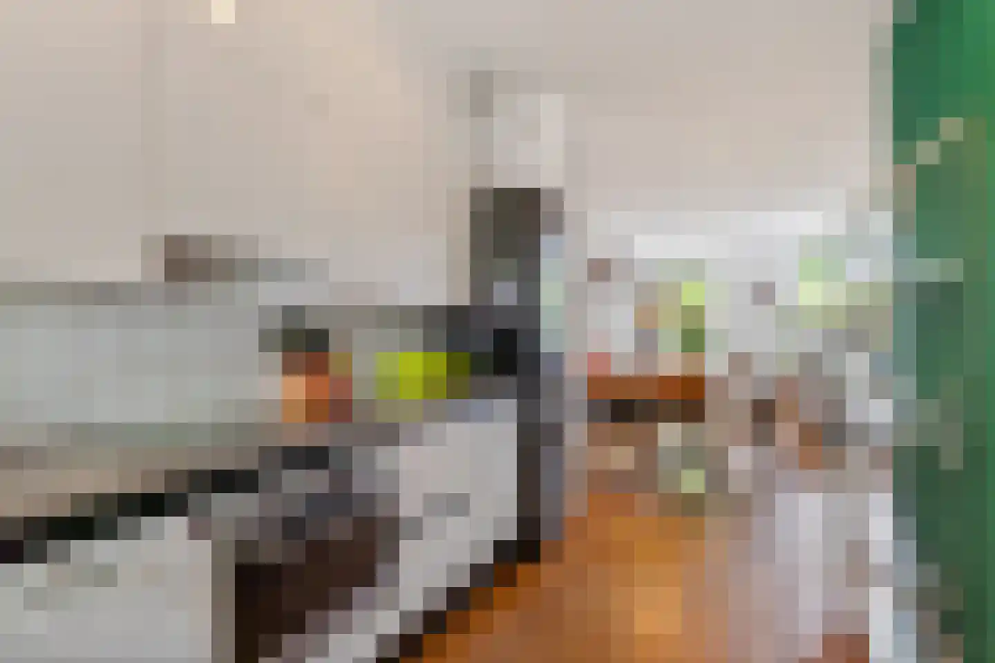 Hopvlinder 2 Leiden thumbnail 8