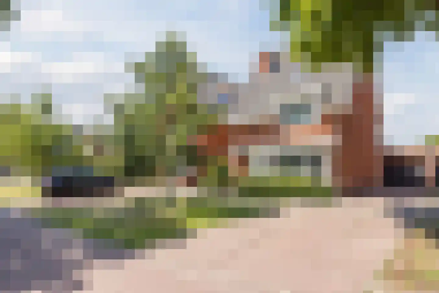 Hopvlinder 6 in Oosterhout