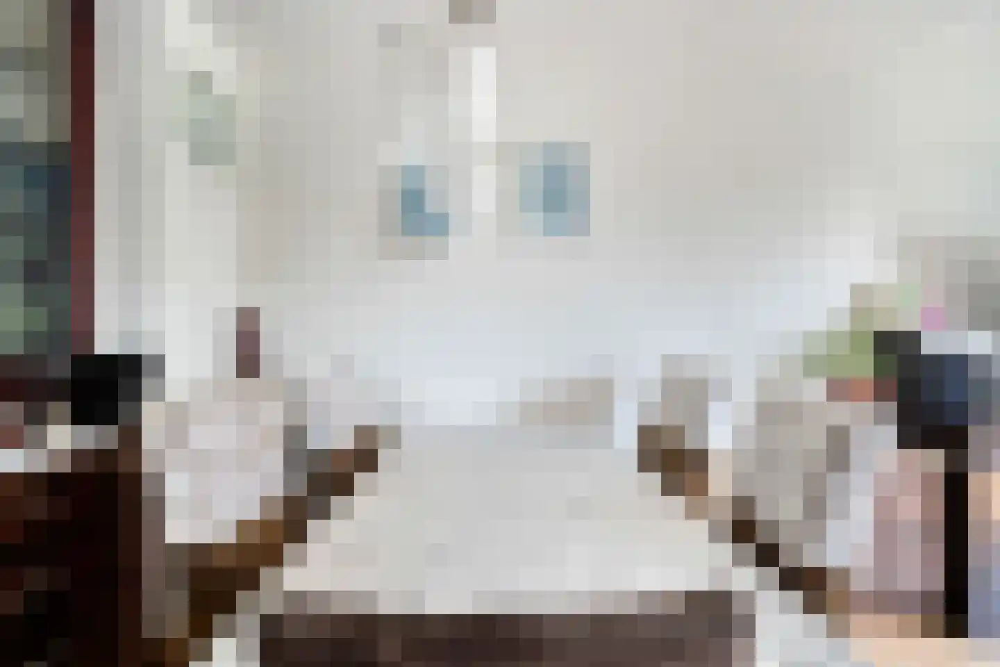 Hopvlinder 6 Leiden thumbnail 11