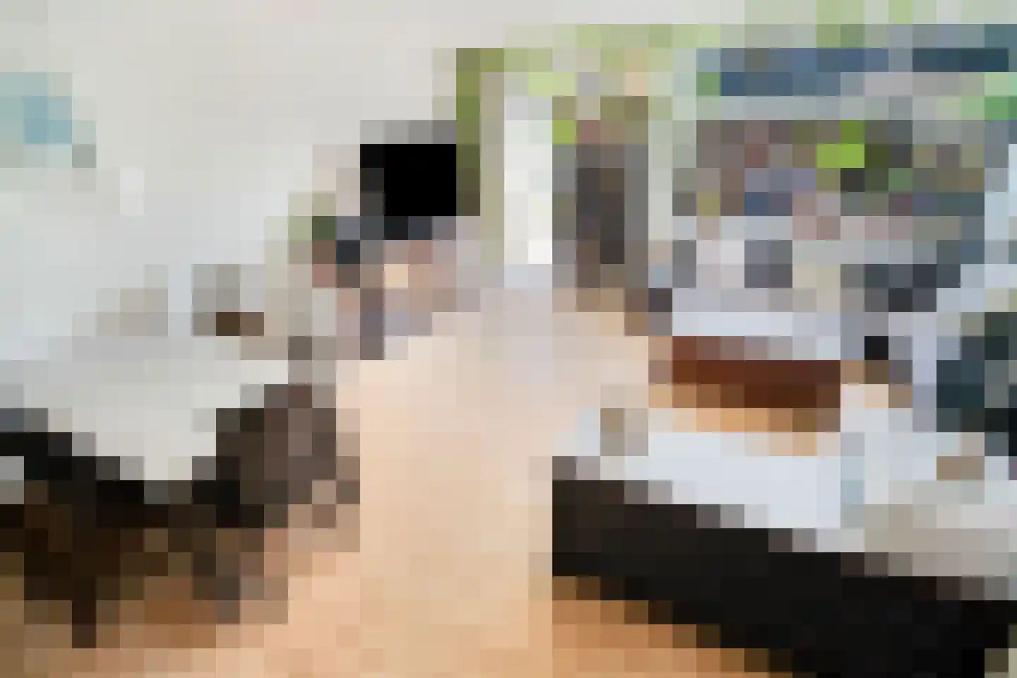 Hopvlinder 6 Leiden thumbnail 12