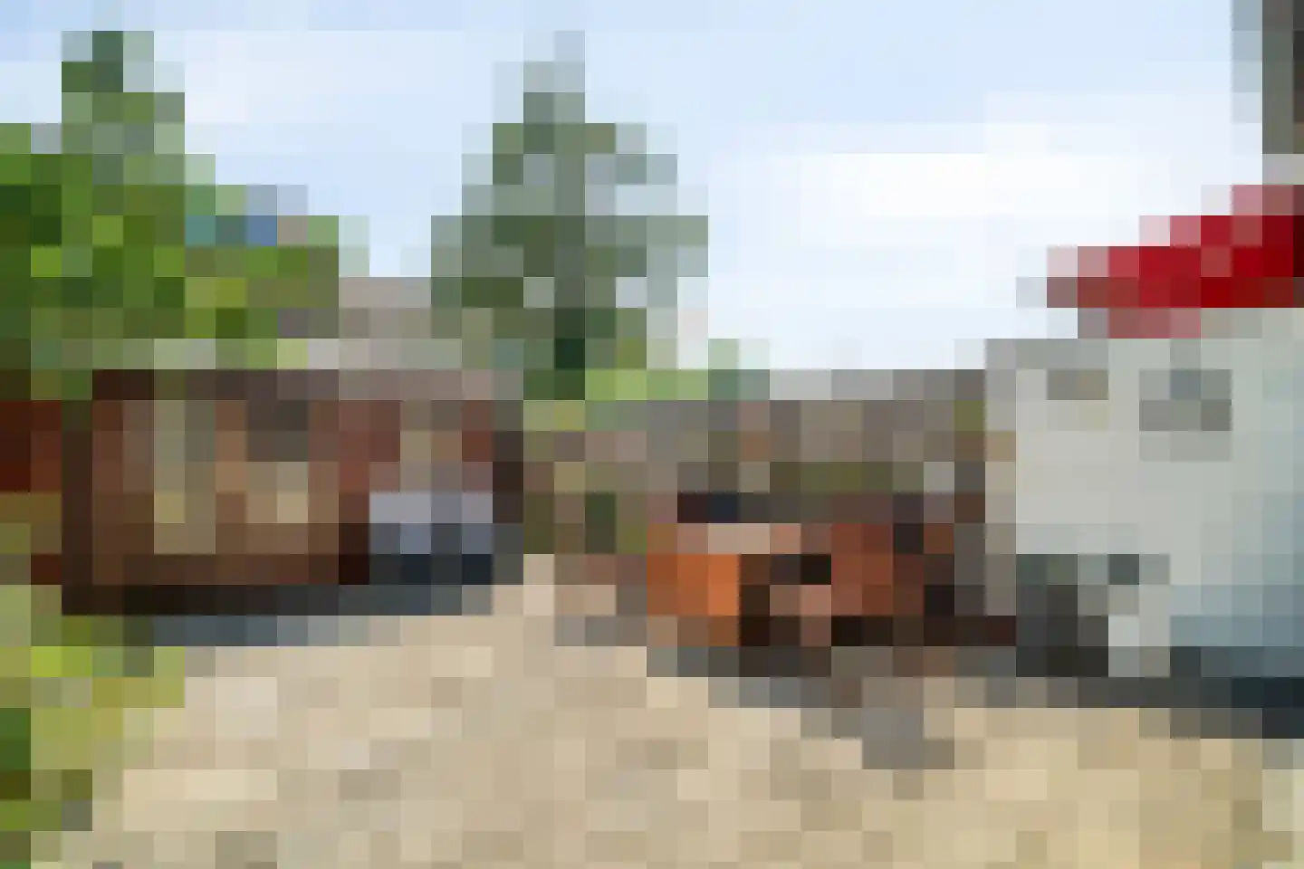 Hopvlinder 6 Leiden thumbnail 13