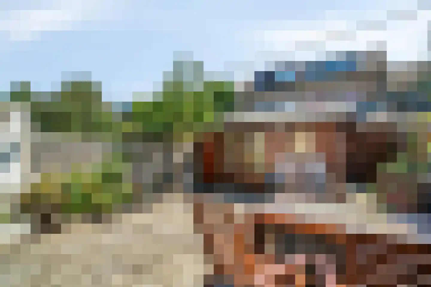 Hopvlinder 6 Leiden thumbnail 14