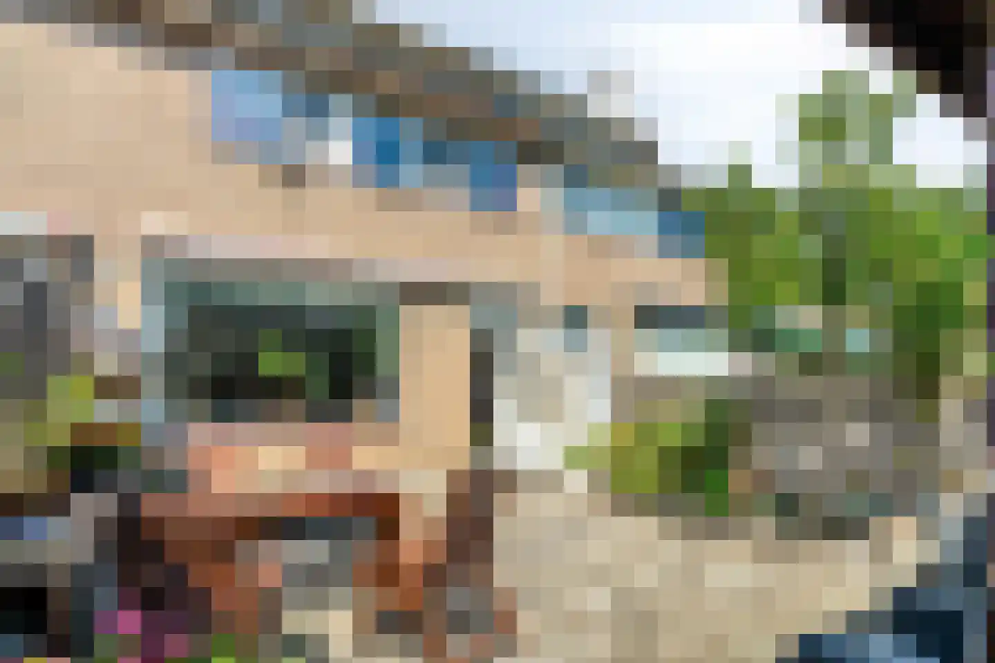 Hopvlinder 6 Leiden thumbnail 15