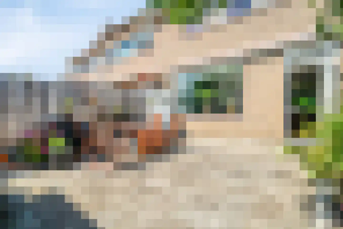 Hopvlinder 6 Leiden thumbnail 16