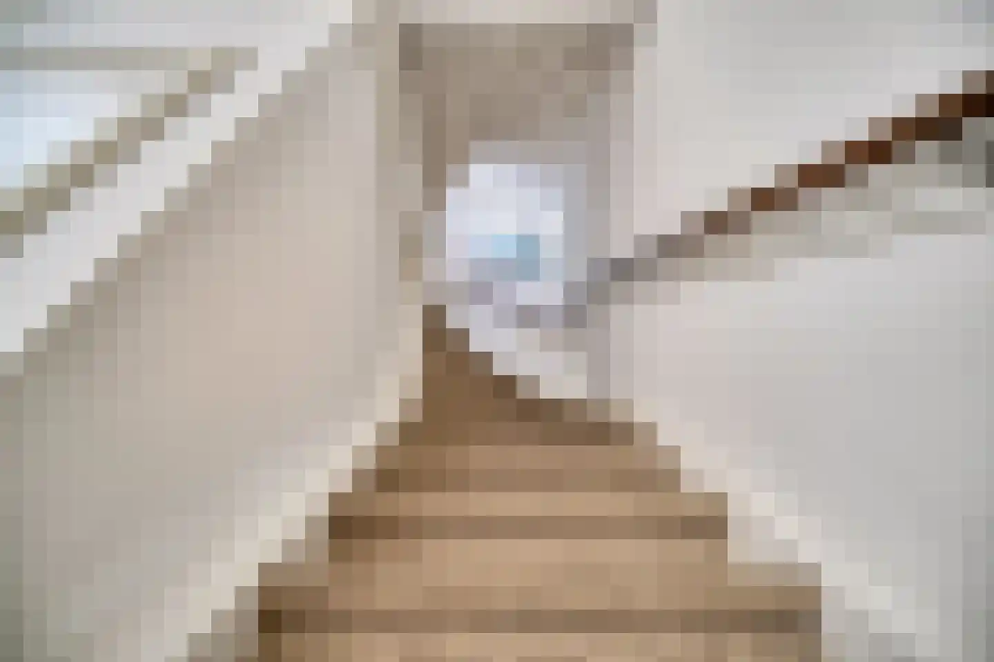 Hopvlinder 6 Leiden thumbnail 18