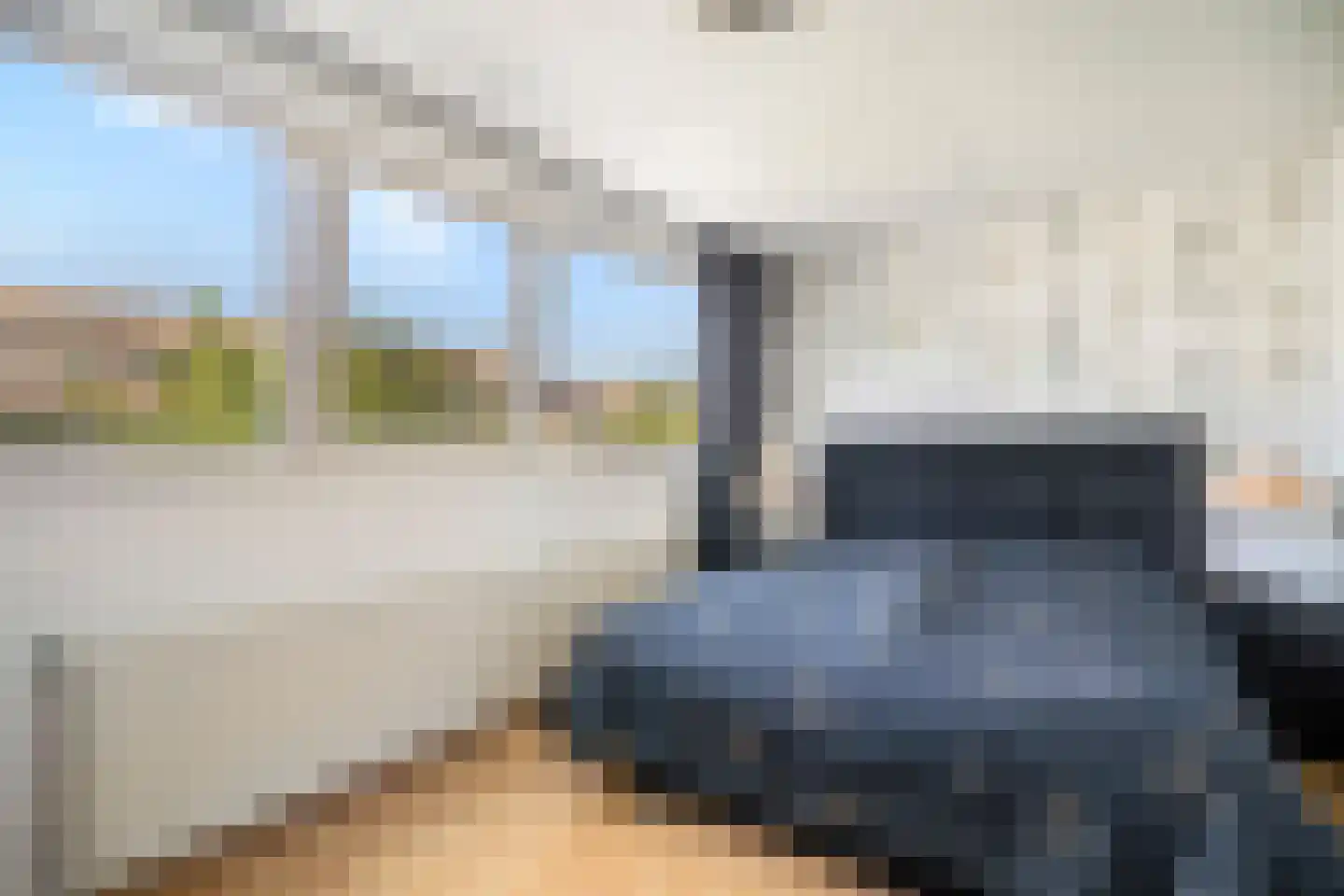 Hopvlinder 6 Leiden thumbnail 23