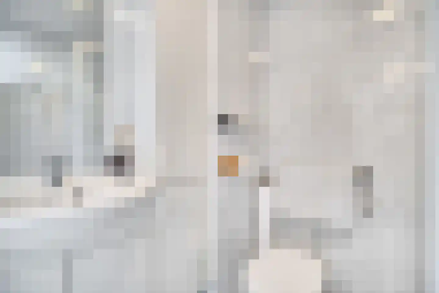 Hopvlinder 6 Leiden thumbnail 27