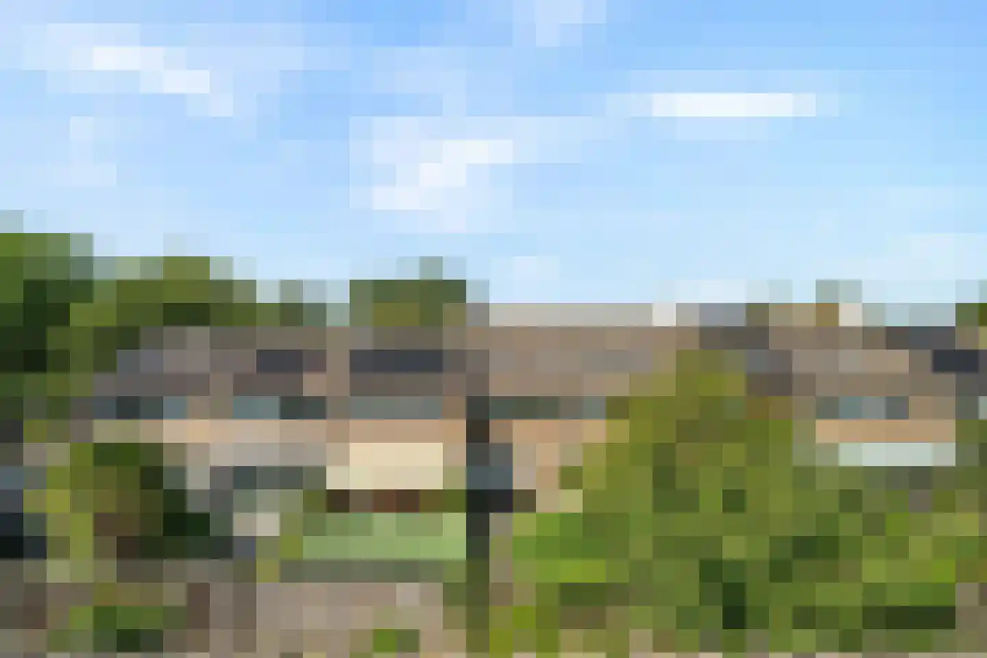 Hopvlinder 6 Leiden thumbnail 30