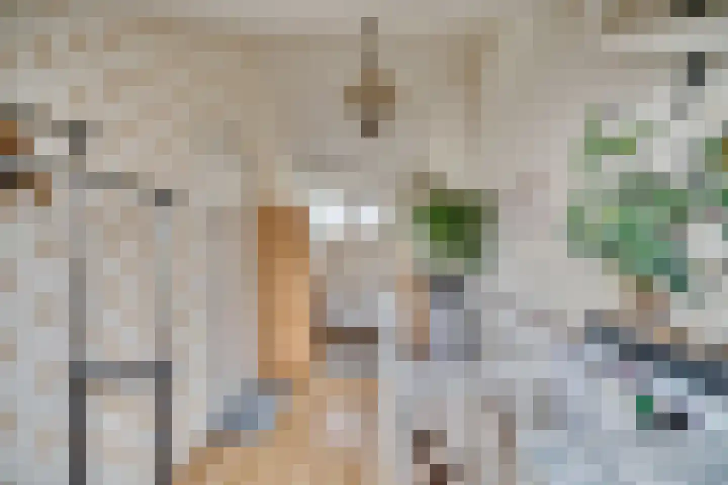 Hopvlinder 6 Leiden thumbnail 31