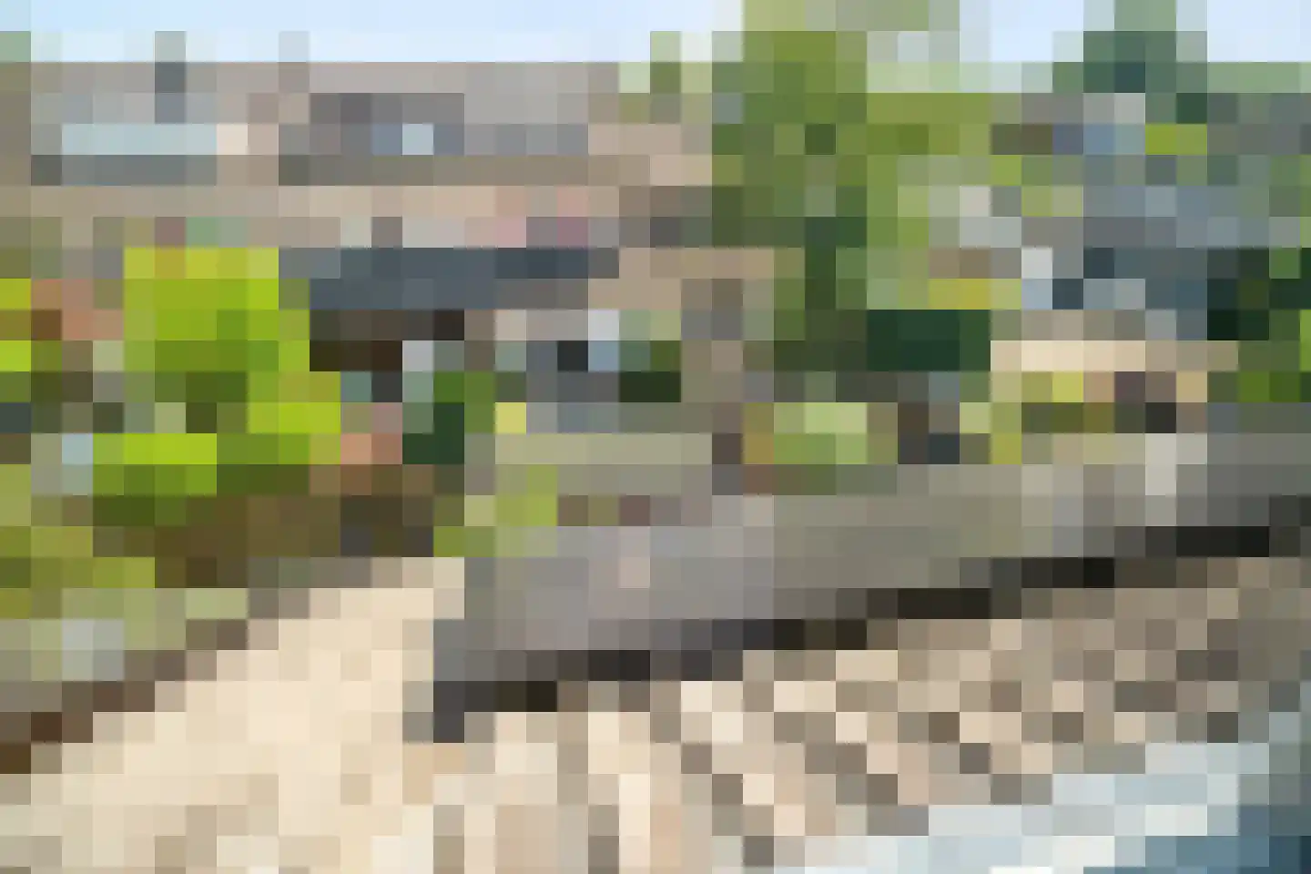 Hopvlinder 6 Leiden thumbnail 32