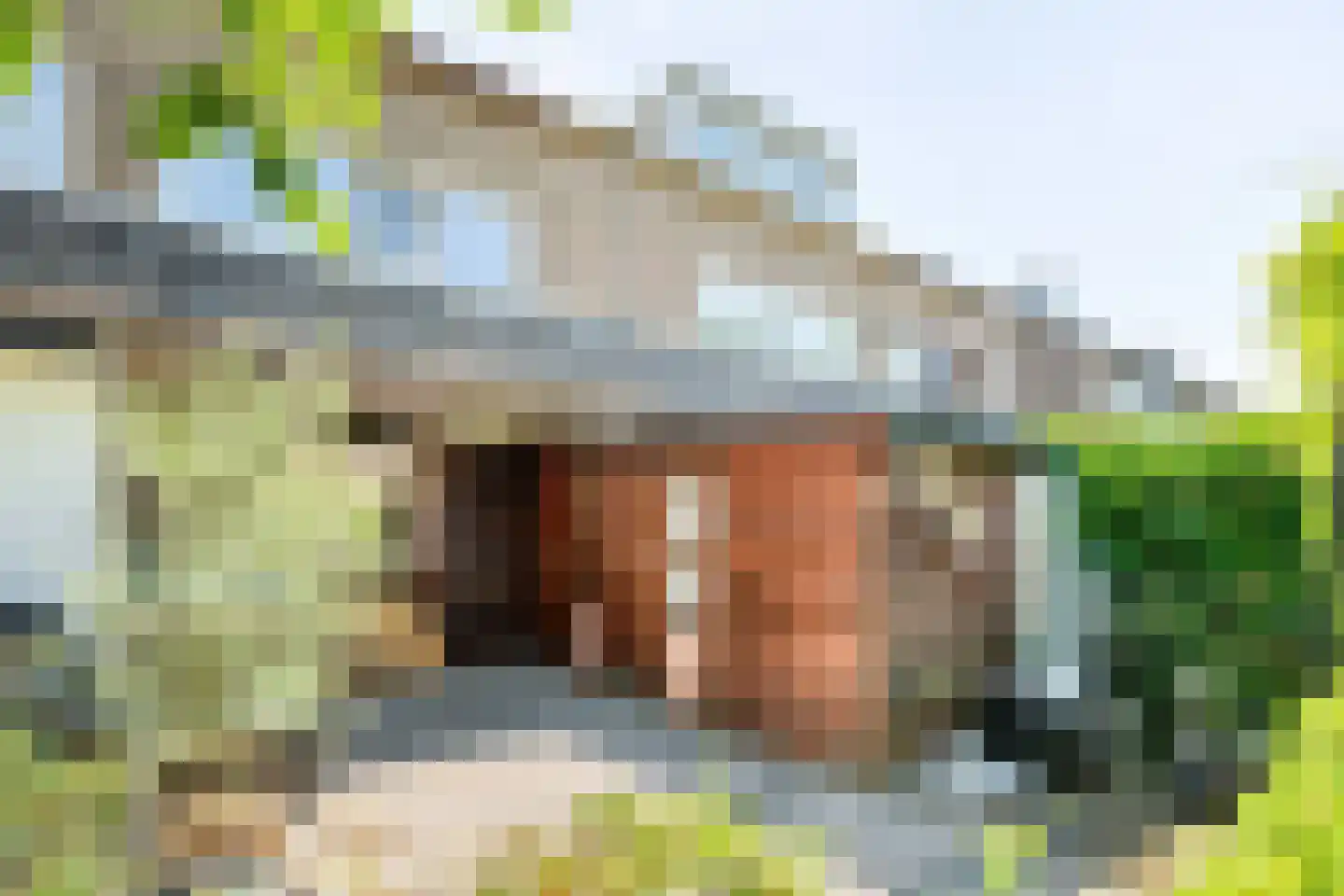 Hopvlinder 6 Leiden thumbnail 39