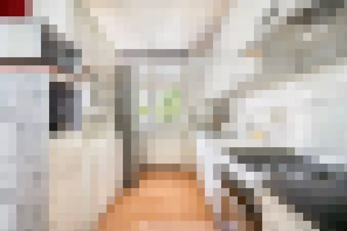 Hopvlinder 6 Leiden thumbnail 8