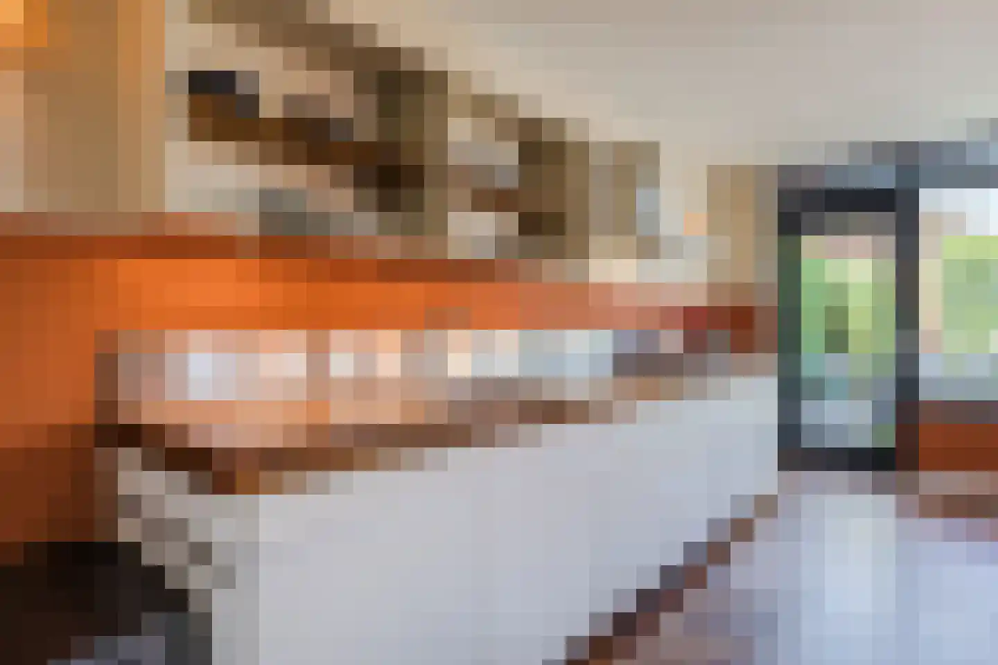 Hopvlinder 6 Oosterhout thumbnail 16