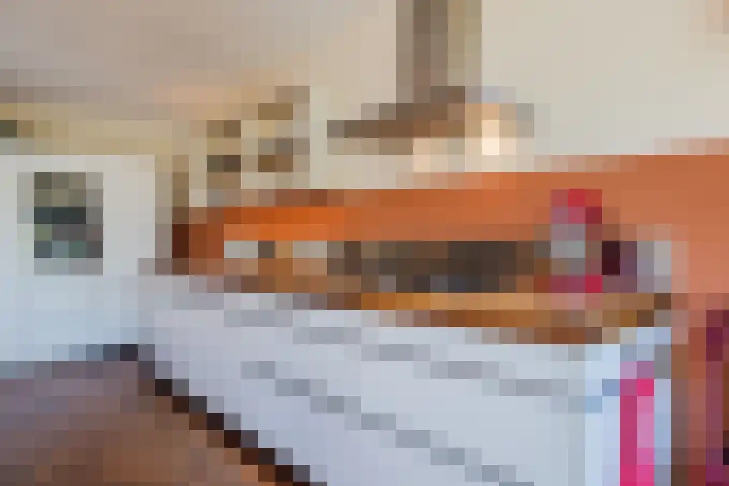 Hopvlinder 6 Oosterhout thumbnail 17