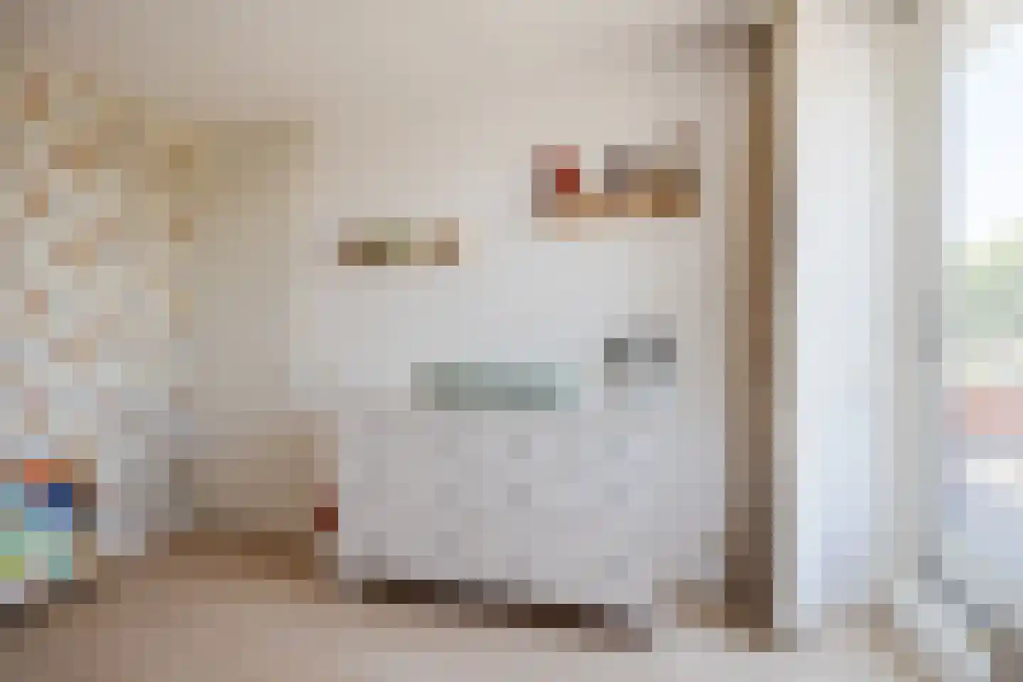 Hopvlinder 6 Oosterhout thumbnail 27