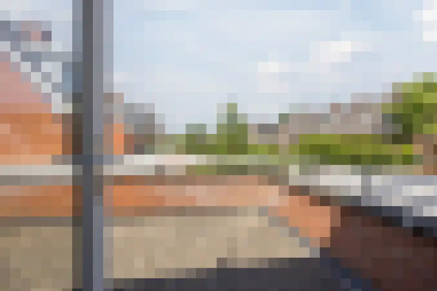 Hopvlinder 6 Oosterhout thumbnail 45