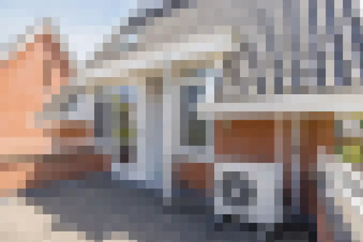 Hopvlinder 6 Oosterhout thumbnail 48