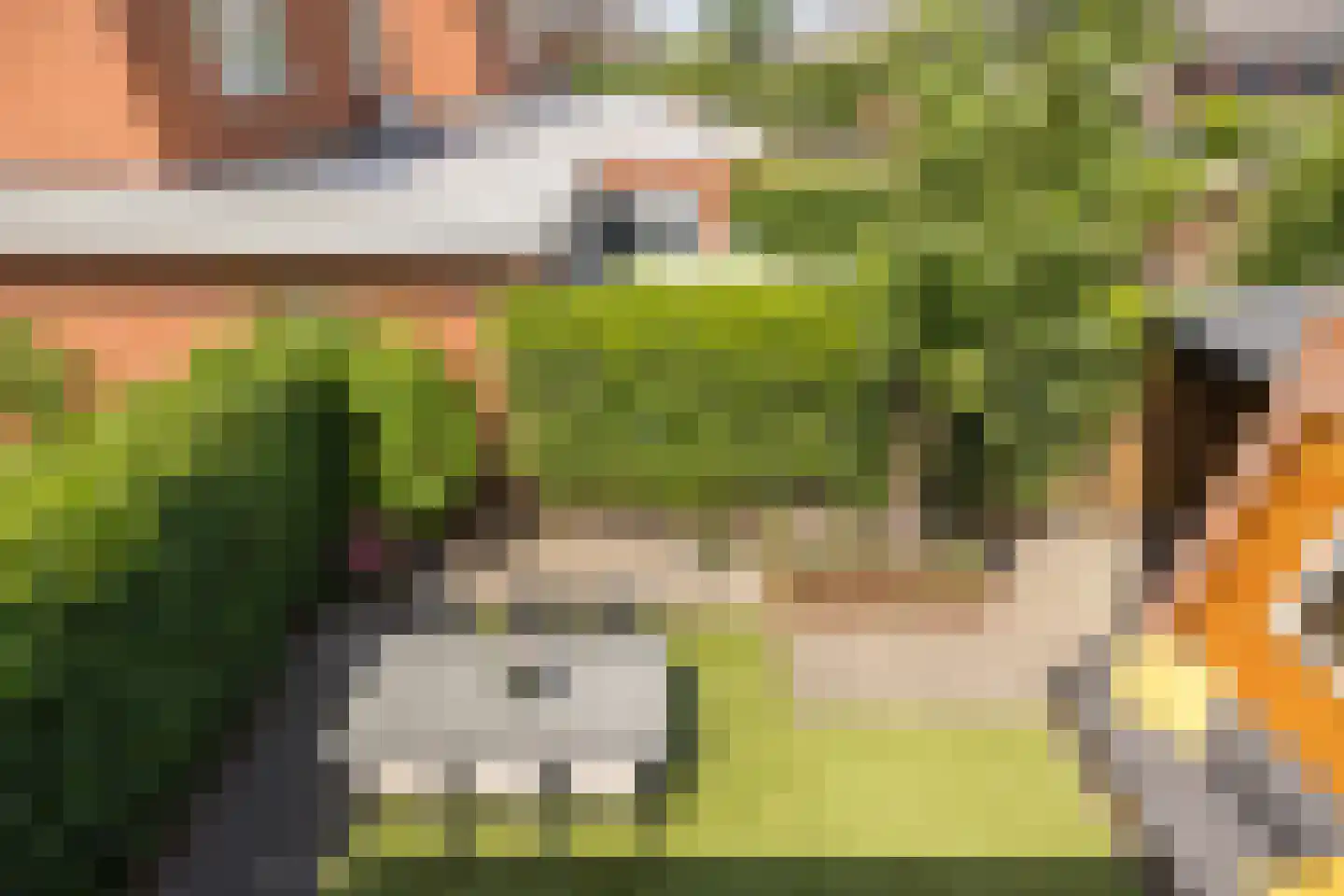 Hopvlinder 6 Oosterhout thumbnail 49