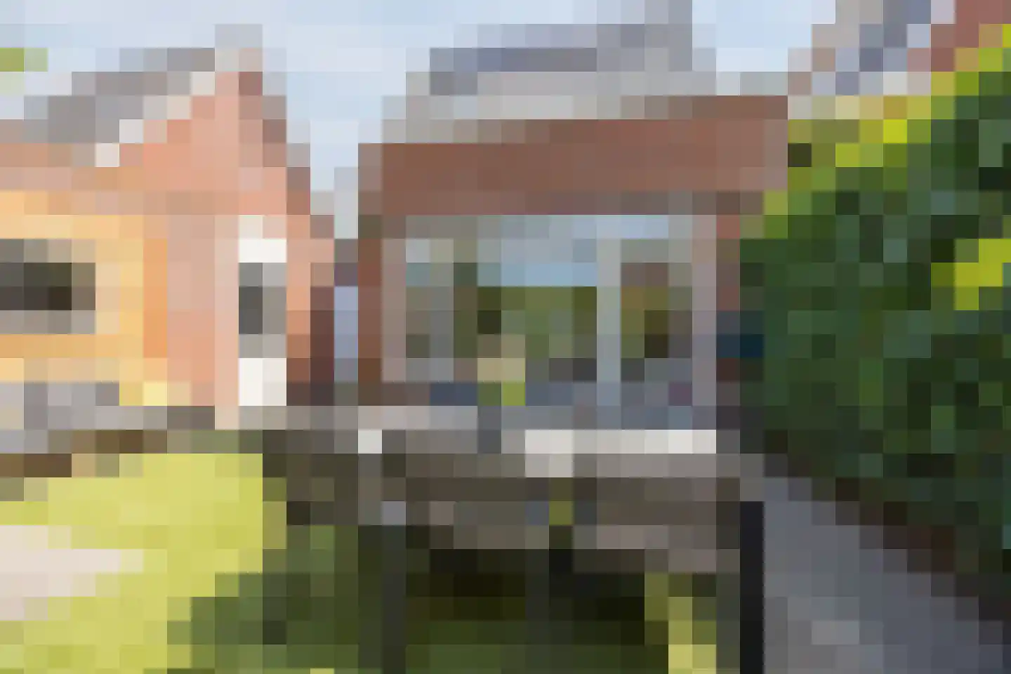 Hopvlinder 6 Oosterhout thumbnail 50