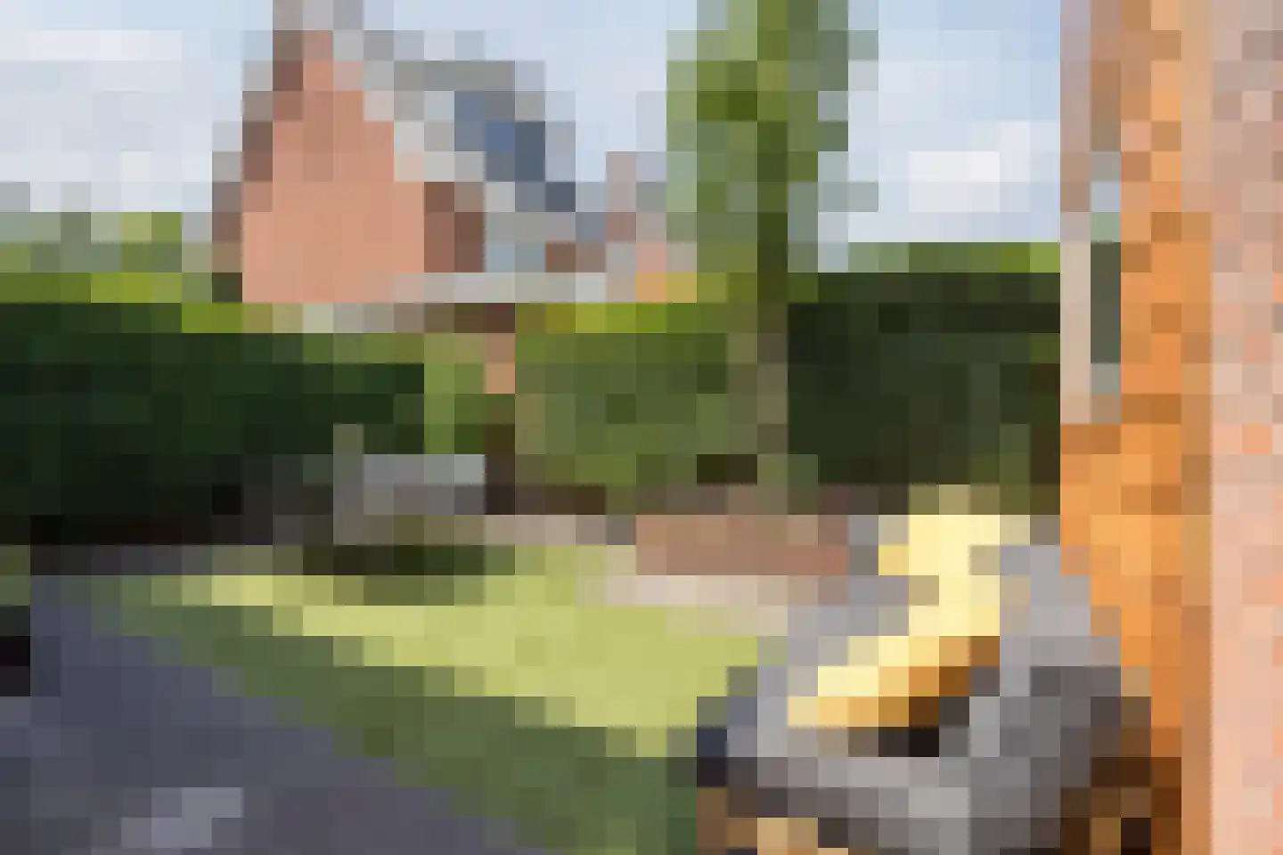 Hopvlinder 6 Oosterhout thumbnail 51