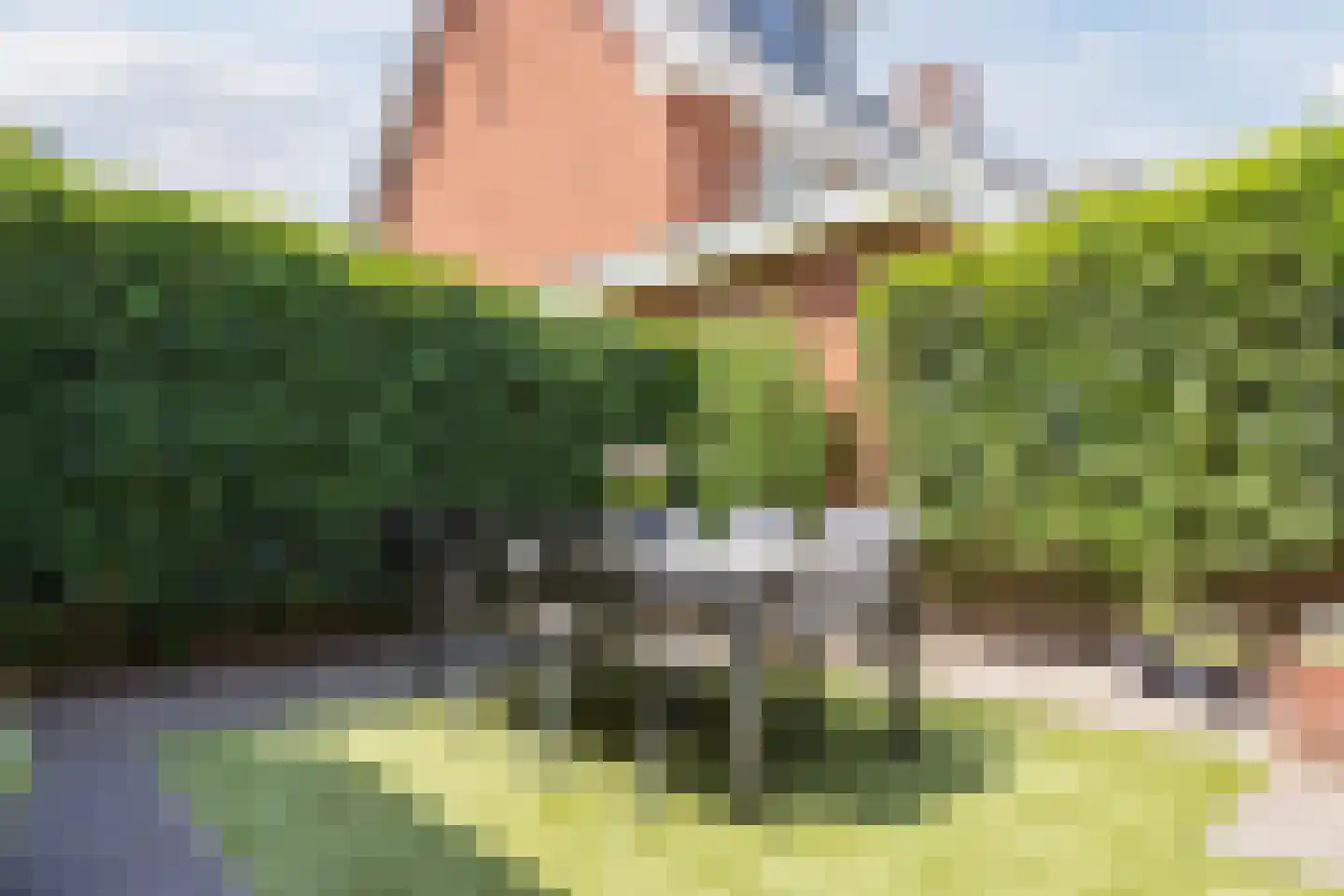 Hopvlinder 6 Oosterhout thumbnail 52
