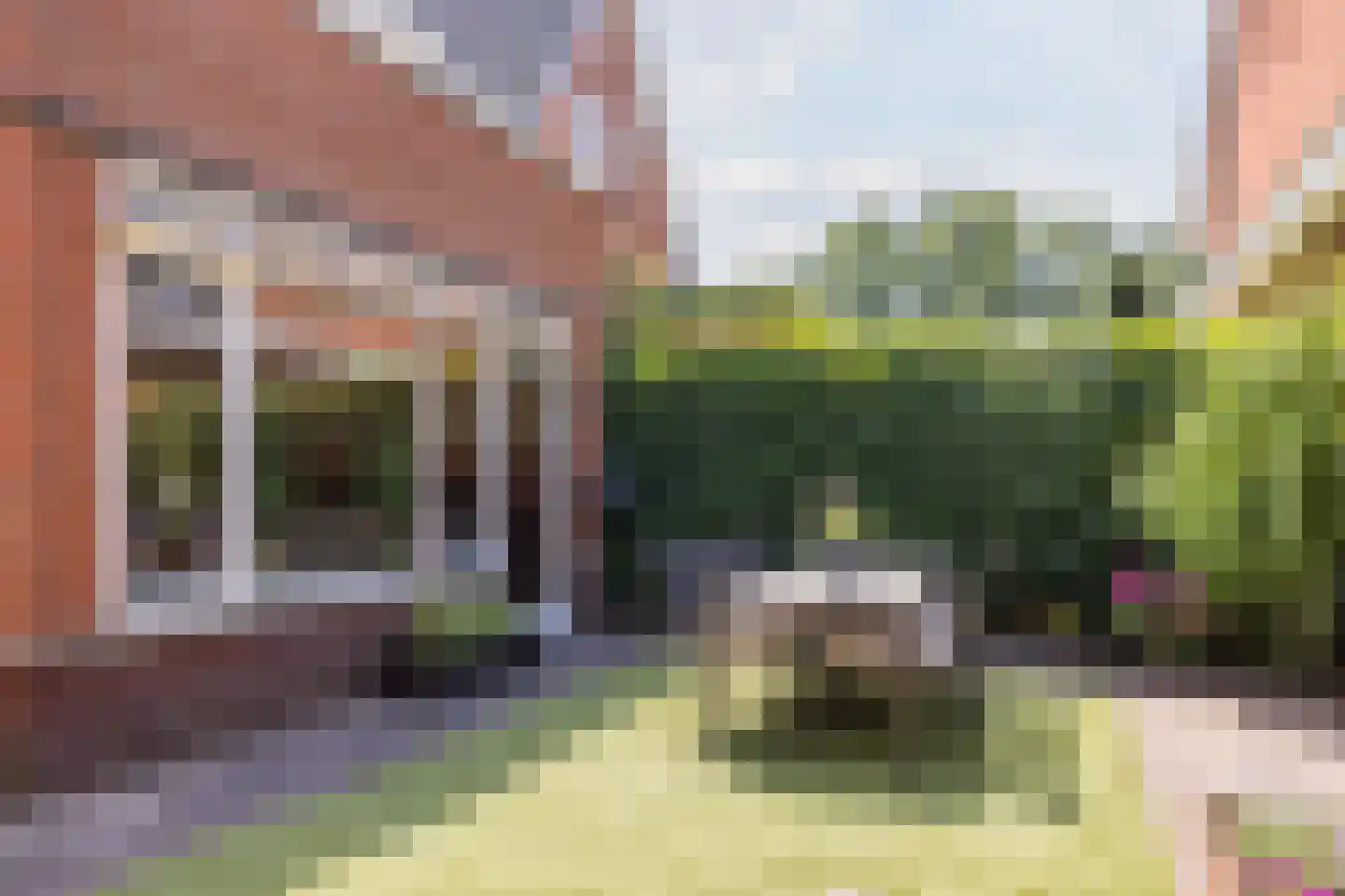 Hopvlinder 6 Oosterhout thumbnail 53