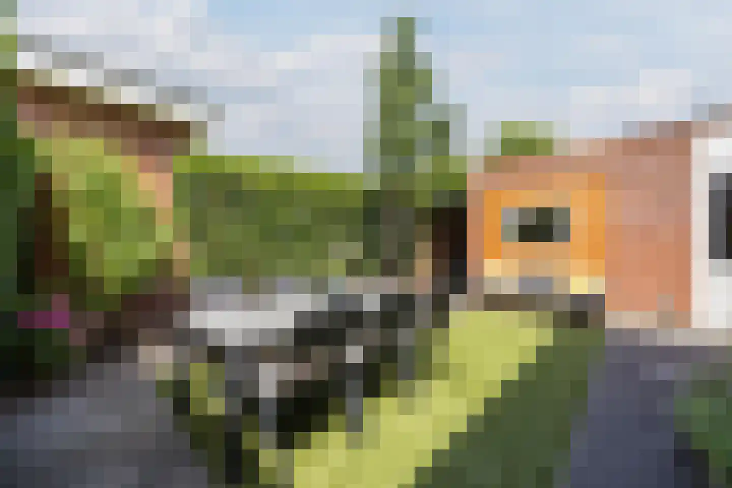 Hopvlinder 6 Oosterhout thumbnail 55