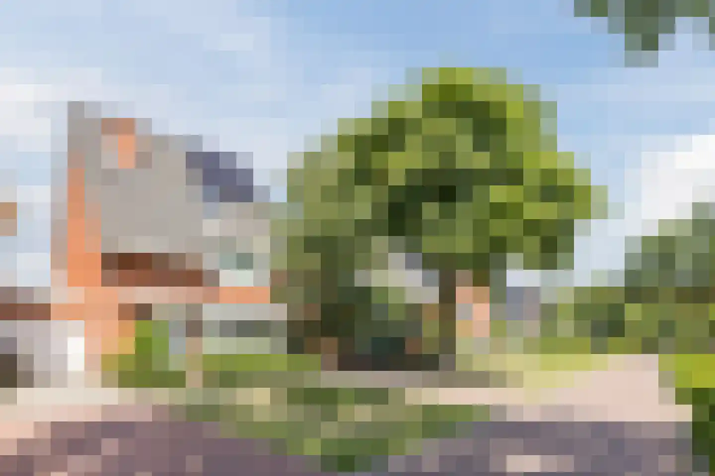 Hopvlinder 6 Oosterhout thumbnail 60