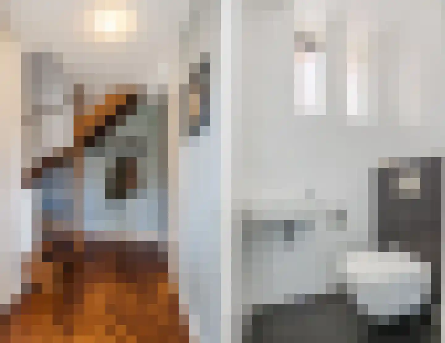 Hopvlinder 6 Oosterhout thumbnail 7