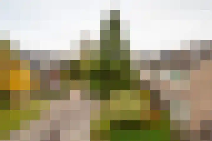 Hopweg 22 Haren Gn thumbnail 6