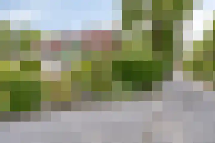 Hopweg 34 C Rutten thumbnail 25