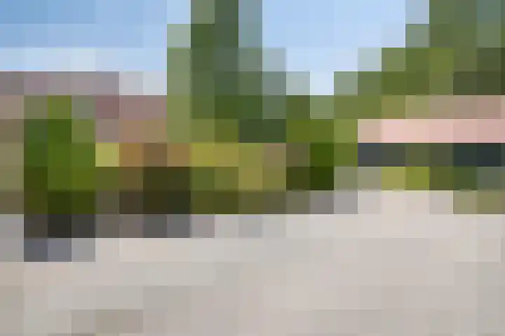 Hopweg 34 C Rutten thumbnail 27