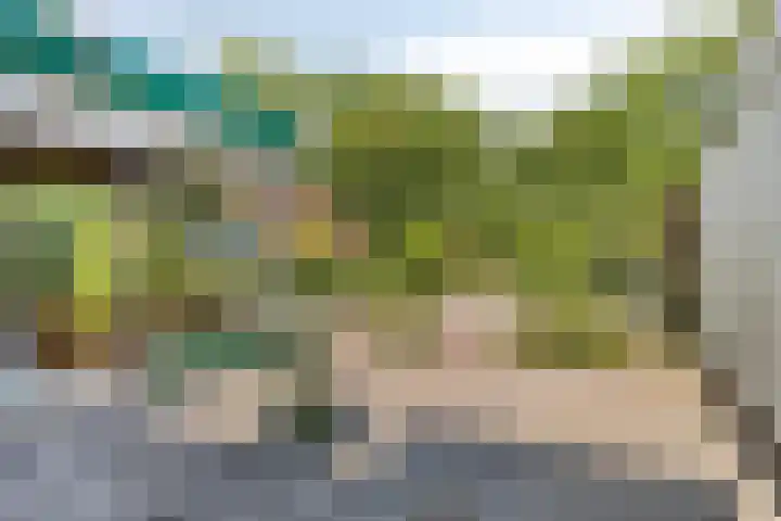 Hopweg 34 C Rutten thumbnail 30
