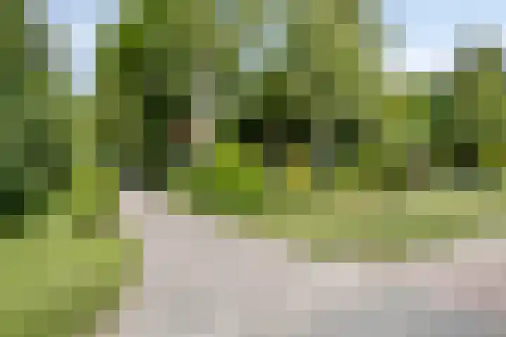 Hopweg 34 C Rutten thumbnail 31