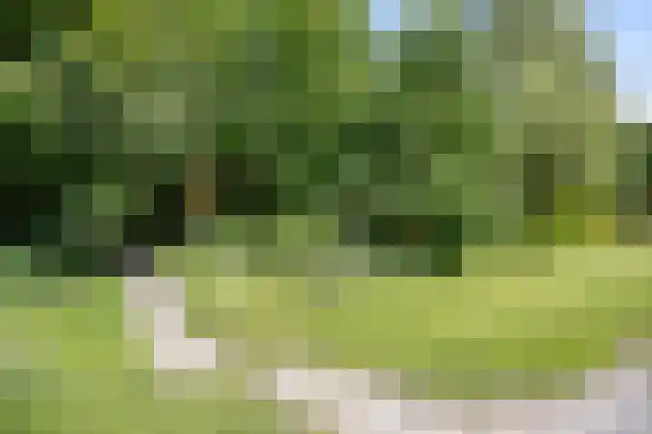 Hopweg 34 C Rutten thumbnail 32