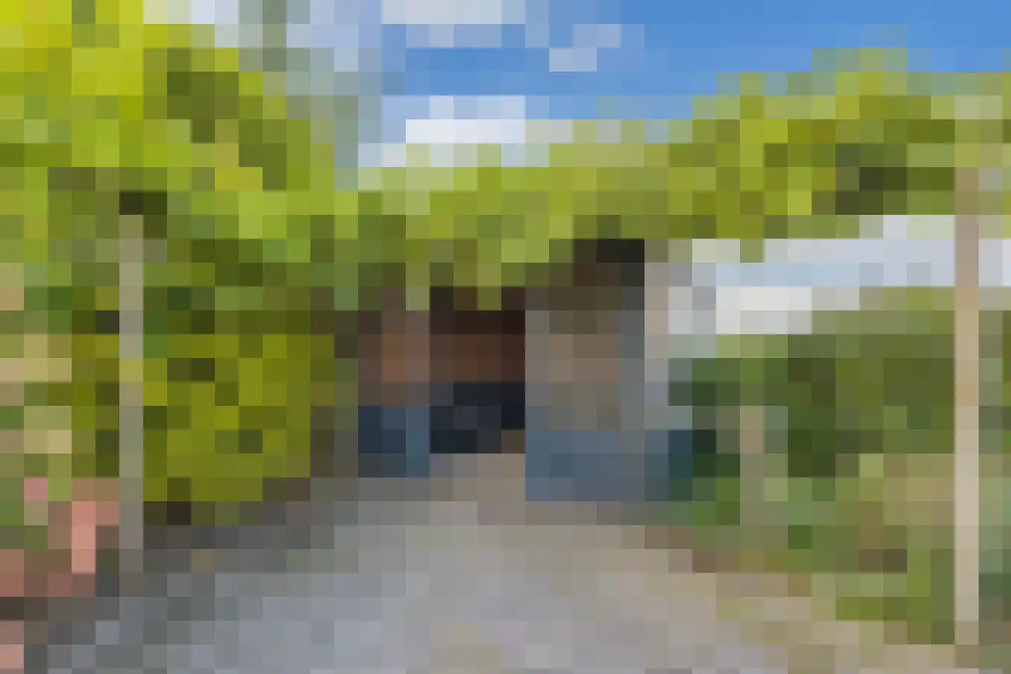 Hopweg 62 A Rutten thumbnail 47