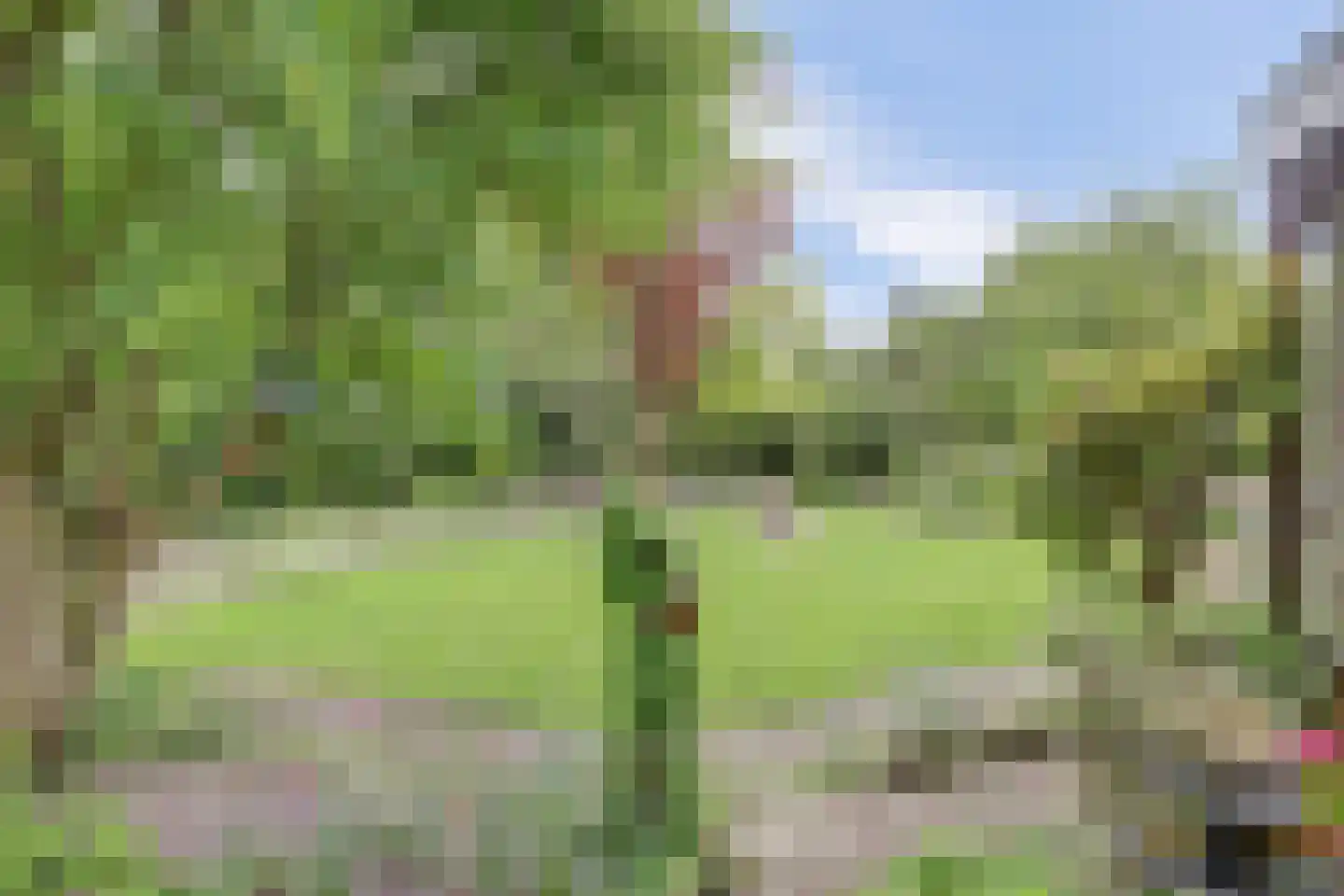 Hopweg 65 Rutten thumbnail 12