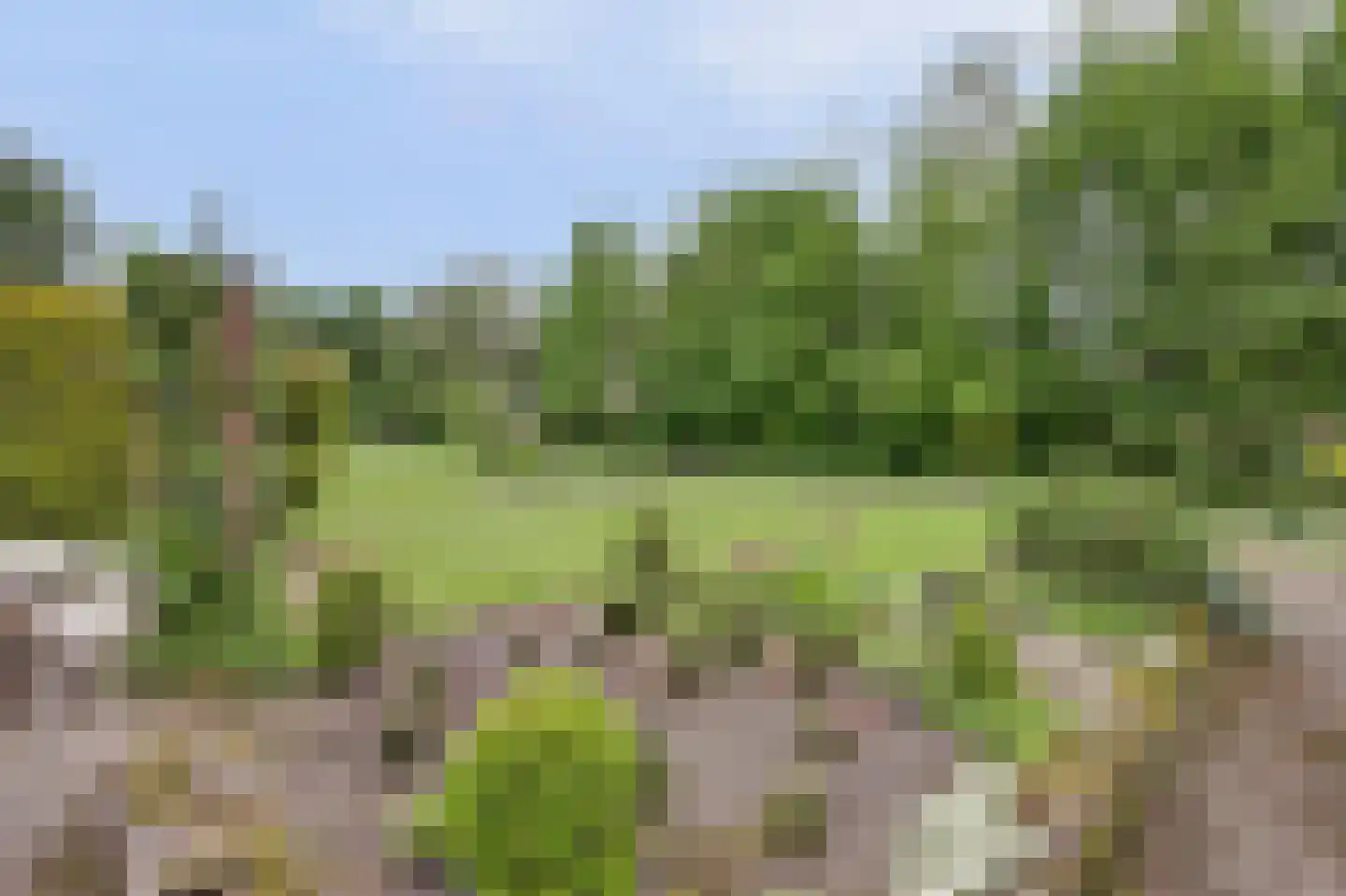 Hopweg 65 Rutten thumbnail 16