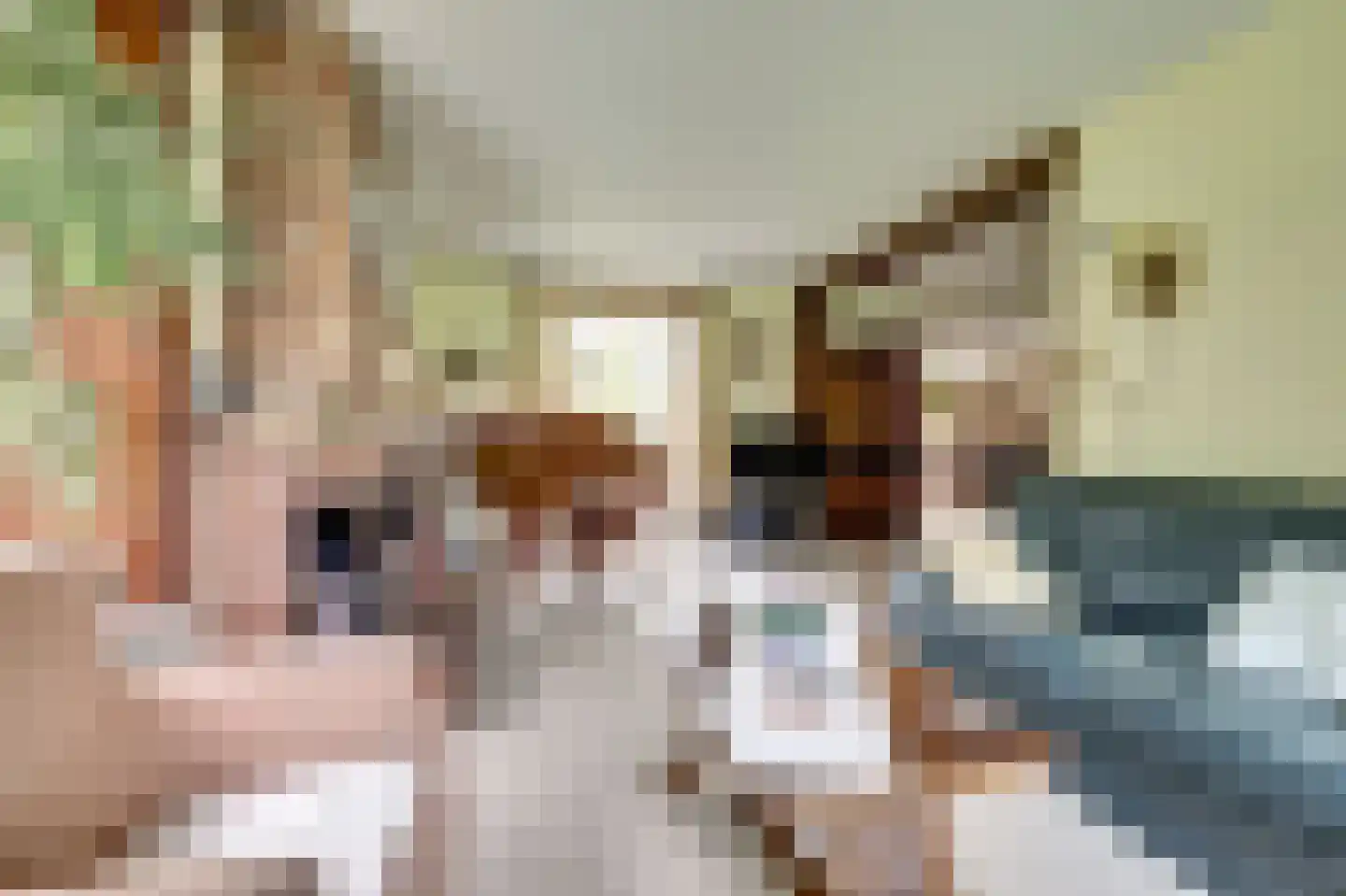 Hopweg 65 Rutten thumbnail 18