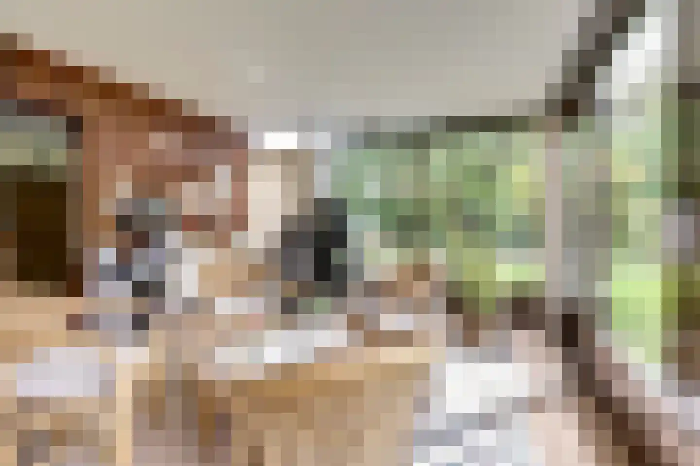 Hopweg 65 Rutten thumbnail 21