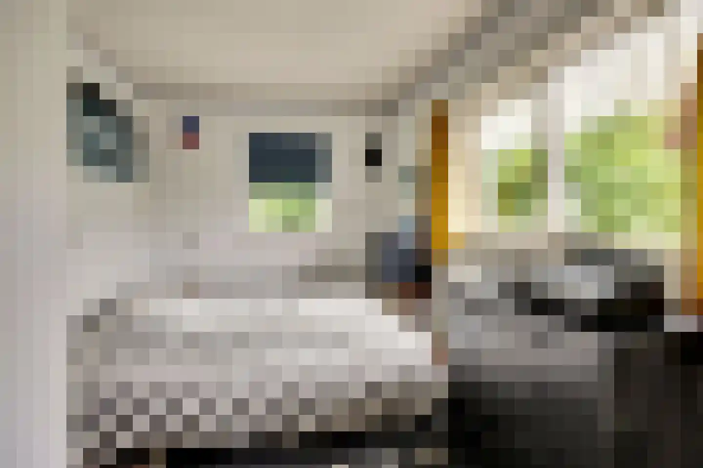 Hopweg 65 Rutten thumbnail 24