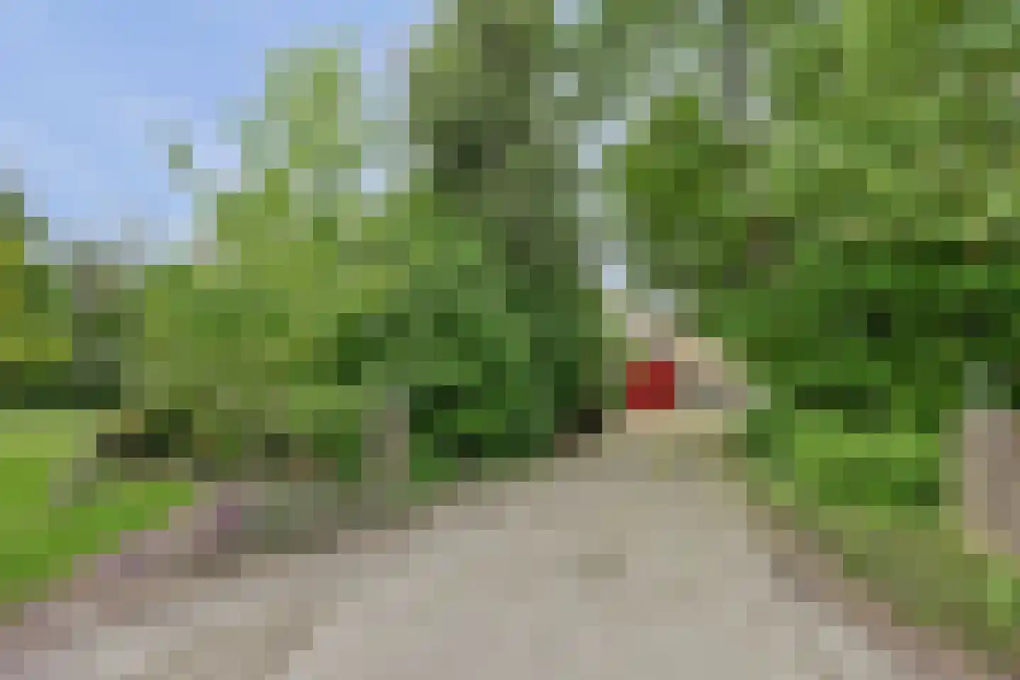 Hopweg 65 Rutten thumbnail 32