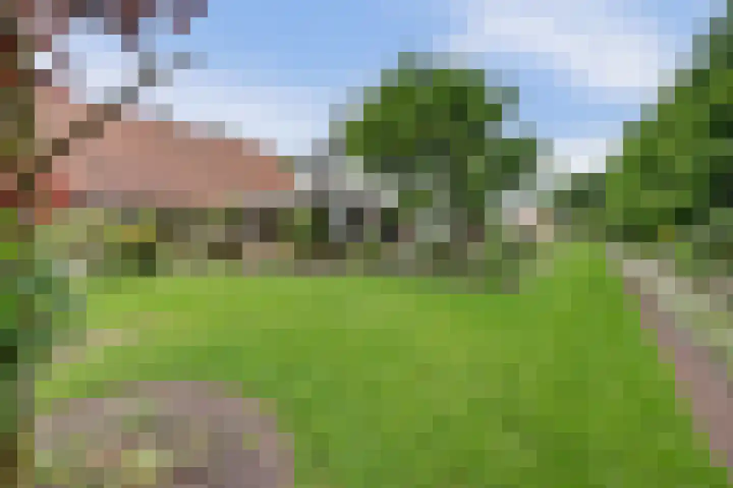 Hopweg 65 Rutten thumbnail 7