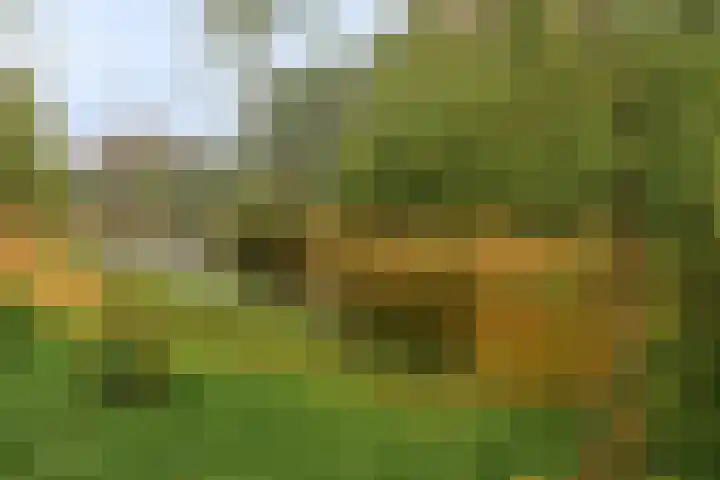 Hora Siccamasingel 101 Groningen thumbnail 26