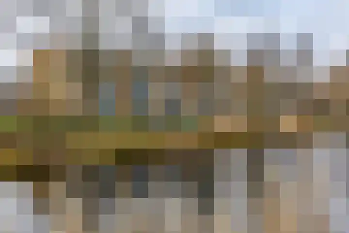 Hora Siccamasingel 115 in Groningen