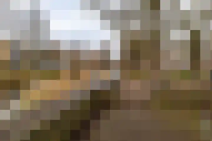 Hora Siccamasingel 115 Groningen thumbnail 22