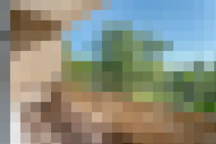 Hora Siccamasingel 12 Groningen thumbnail 23